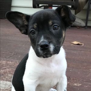 Meet your Posher, Gregg